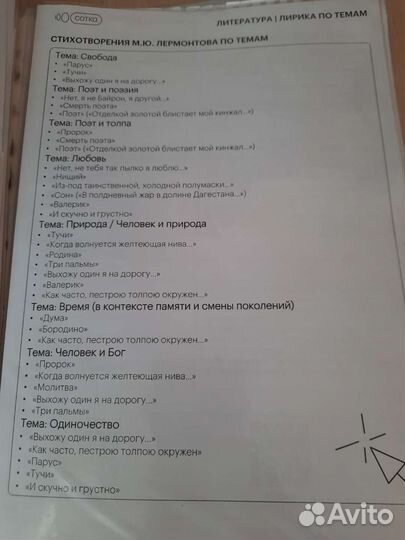 Конспекты и скрипты сотки для егэ по литературе