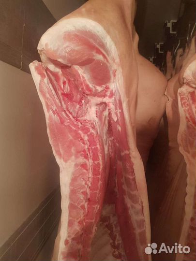 Мясо свинина