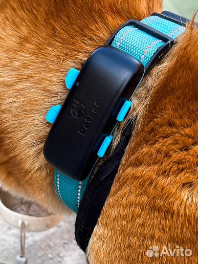 Gps навигатор для лошадей