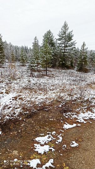 Участок 12 га (ИЖС)