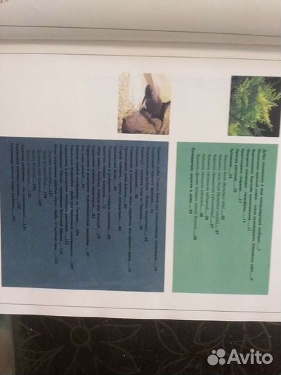 Мир тропических рыб перевод с английского. Книга