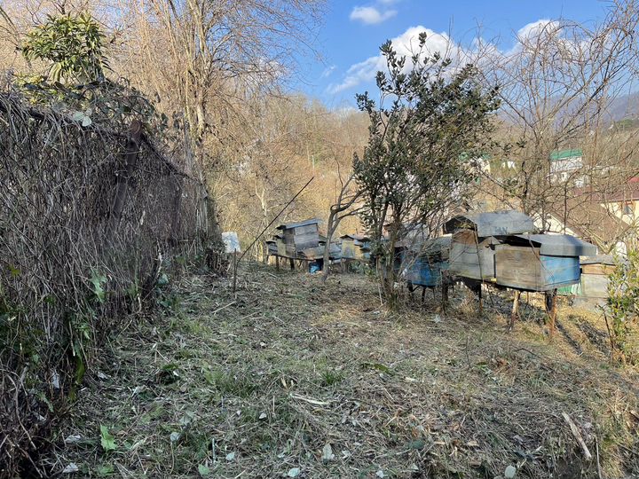 Участок 7 сот. (СНТ, ДНП)