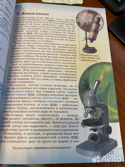 Биология 5 класс учебник/Сивоглазов