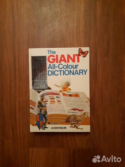 Большой цветной английский словарь