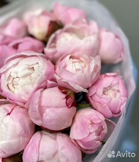 Букет пионов