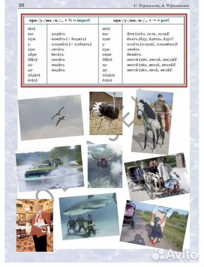 Началный курс учебника, поехали