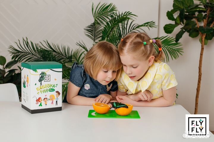 Ферма бабочек. Бабочкарий на 3 куколки с Калиго