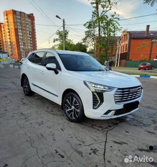 Водитель Haval 2022 новые машины