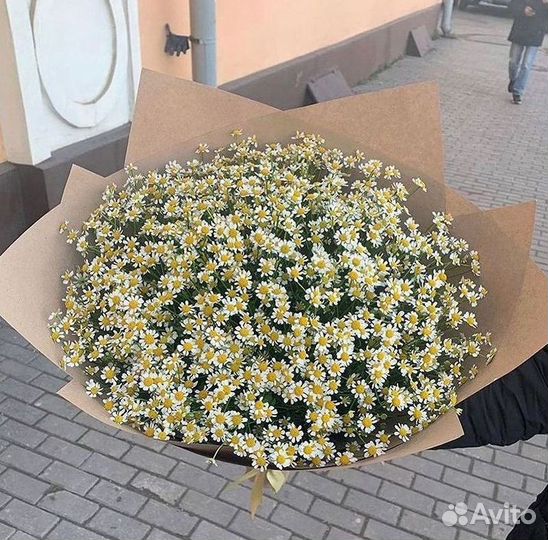 Ромашки букет