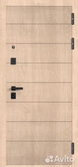 Дверь входная в квартиру