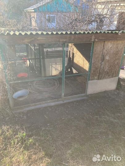 Курятник с выгулом для куриц