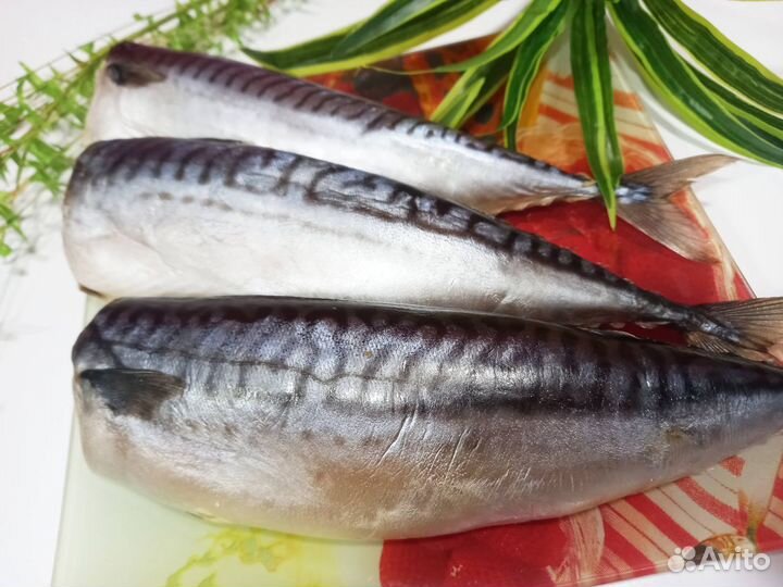 Скумбрия провесная сп