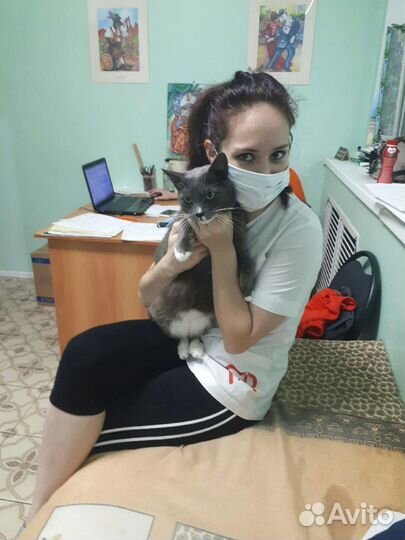 Ветеринарный врач выезд на дом