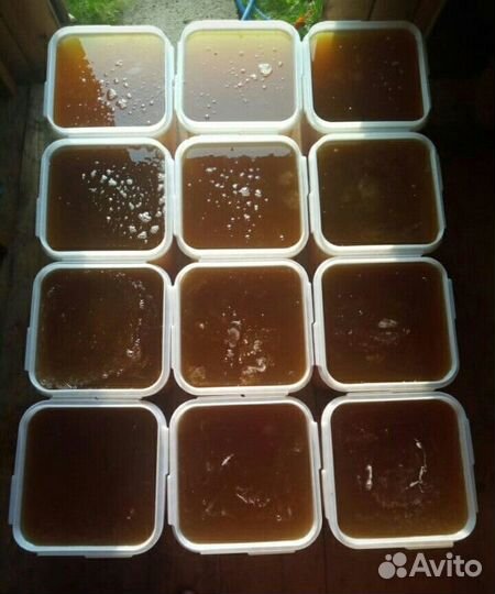 Мёд разнотравье темное качка 2023 год Опт