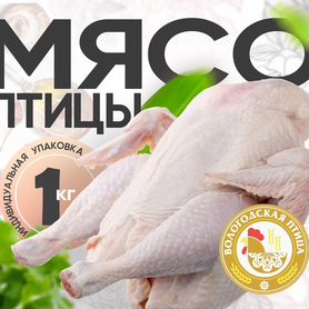 Мясо птицы оптом в Колпино