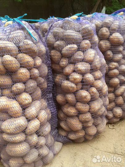 Продам картофель с доставкой