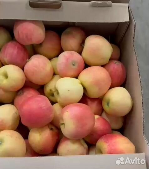 Яблоки опт. продажа
