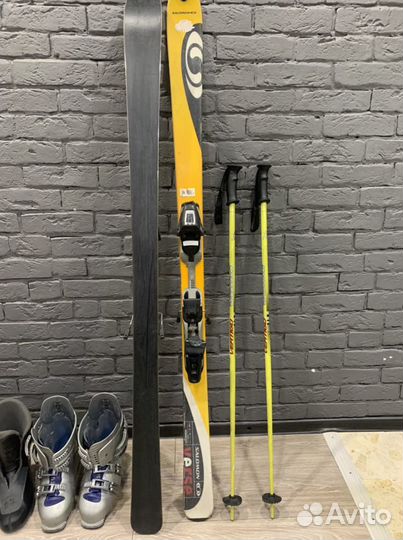 Горные лыжи