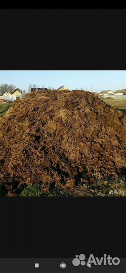 Навоз коровий