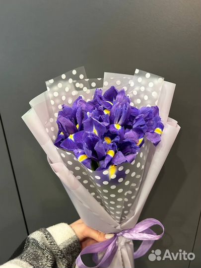 Букет из 11 синих ирисов