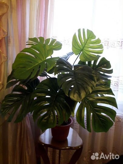 Цветок искусственный Монстера