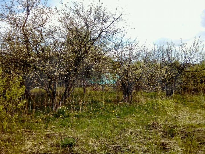 Участок 8 сот. (СНТ, ДНП)