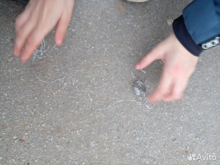 Продаю медь (металл) я не могу их отличить