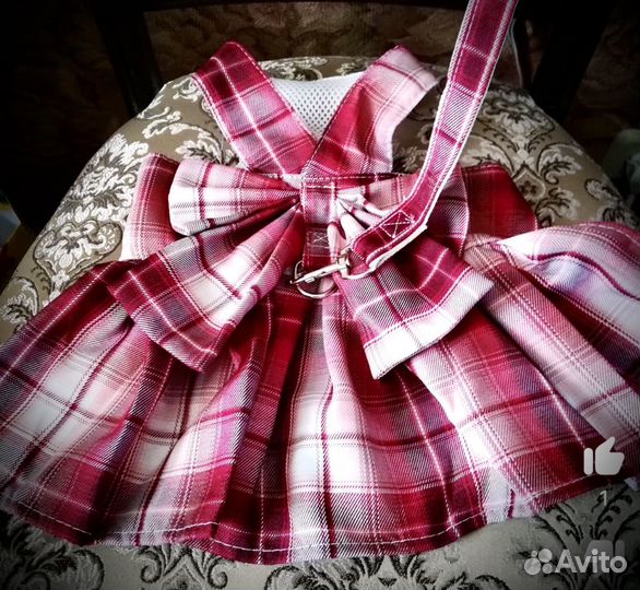 Шлейка для собаки и когки