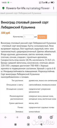 Черенки винограда