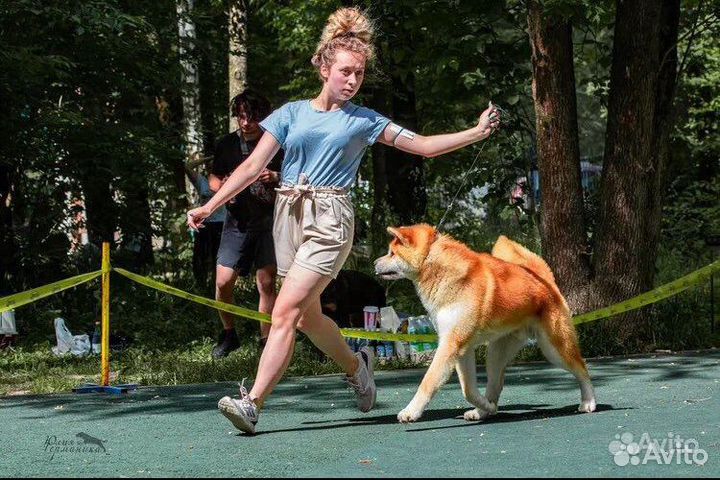 Услуги хендлера