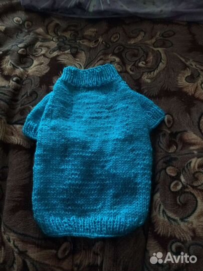 Вязанная одежда для животных