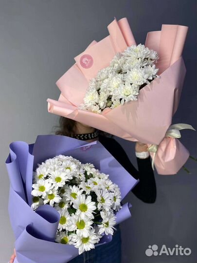 Хризантема кустовая