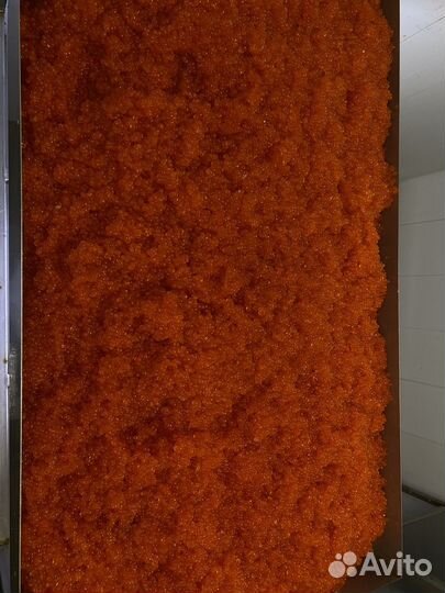 Красная икра с Магадана