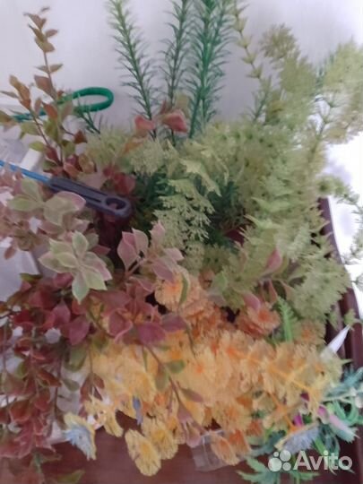 Для аквариума бу