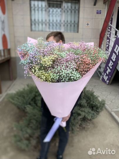 Цветы/букет из гипсофилы/радужная гипсофила