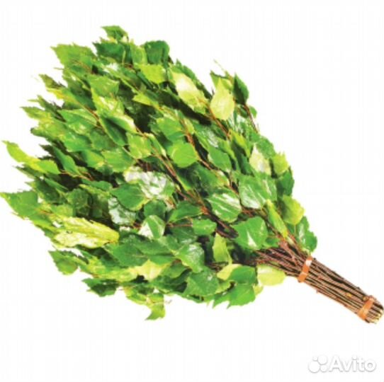 Веники берёзовые
