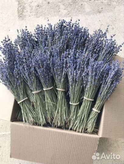 Букеты из лаванды
