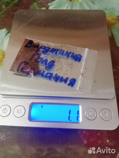 Семена табака 