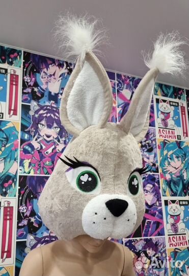 Полуростовая голова белки