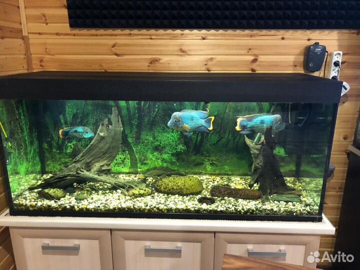 Аквариум