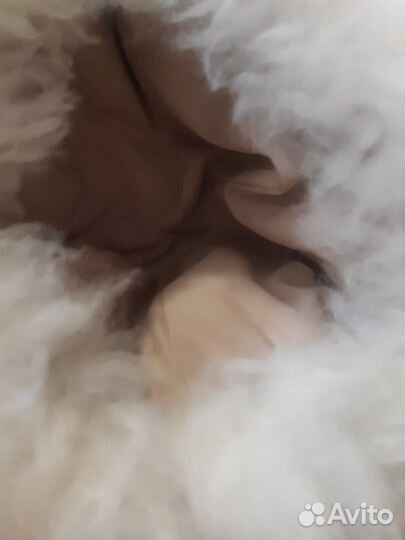 Шапка. натуральный мех. головной убор