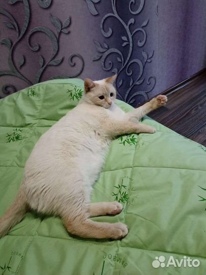 Ищем потерялся