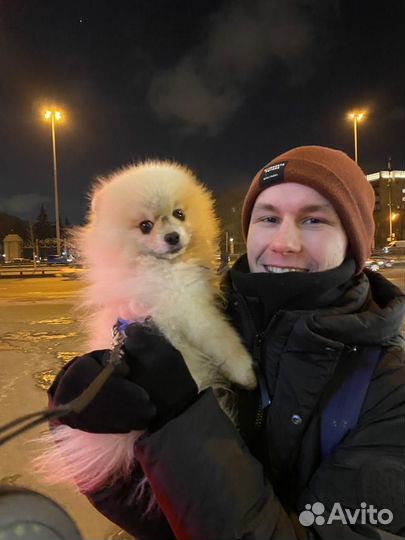 Передержка домашних животных