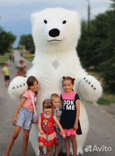 Белый медведь, Поздравление от белого медведя