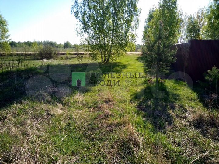 Участок 31,1 сот. (личное подсобное хозяйство (лпх))