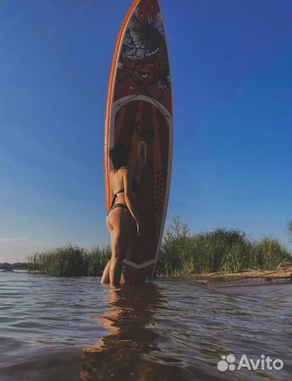 Аренда сапа sup board