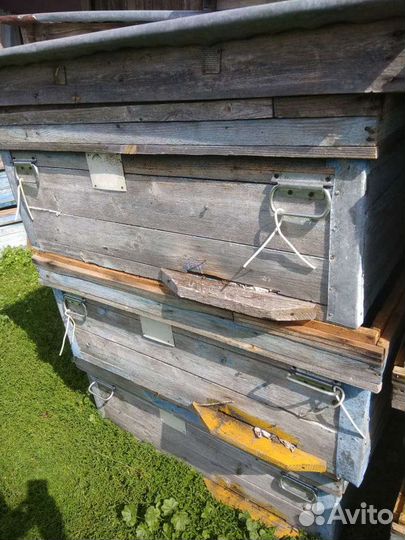 Улей с магазином для пчел