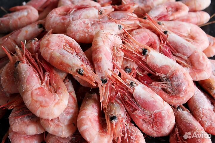 Северная креветка