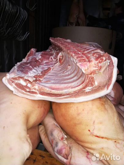 Мясо свинины (полутуши, шея, окорок, лопатка.)