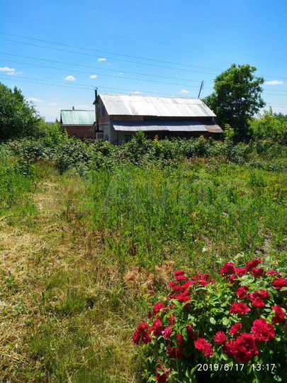 Участок 8 сот. (СНТ, ДНП)